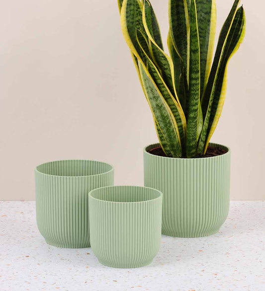 Mint Elho Vibes Pot