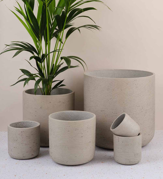 Stone Concrete Pot